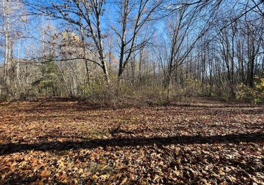 61 Warehouse Ln, Rowley, Massachusetts 01969, ,Land,For Sale,Warehouse Ln,73059621