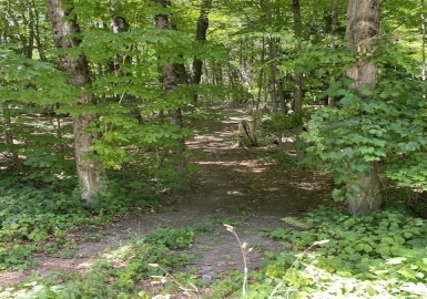 0 Mountain Rd, Gill, Massachusetts 01376, ,Land,For Sale,Mountain Rd,73088717
