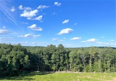 317 Sunnyhill Rd, Lunenburg, Massachusetts 01462, ,Land,For Sale,Sunnyhill Rd,73007126