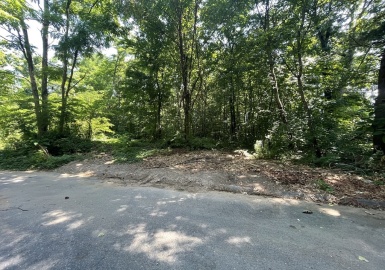 WS Gilbert Ave, Springfield, Massachusetts 01119, ,Land,For Sale,Gilbert Ave,73016387