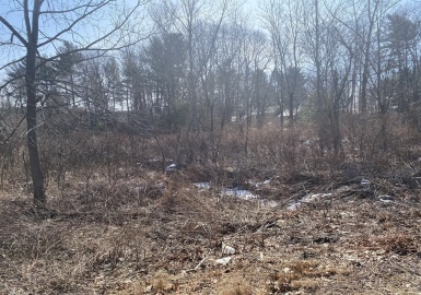 Lot 41 Meadow Rd, Spencer, Massachusetts 01562, ,Land,For Sale,Meadow Rd,72949317