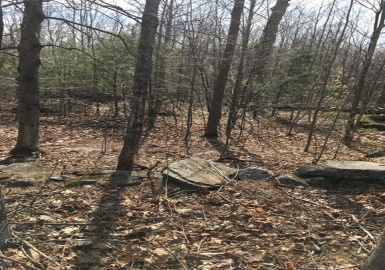 0 Dresser Hill Rd., Goshen, Massachusetts 01038, ,Land,For Sale,Dresser Hill Rd.,72642230