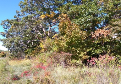 11 Rio Drive, Gloucester, Massachusetts 01930, ,Land,For Sale,Rio Drive,72948574