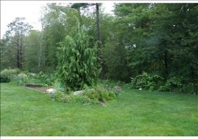 NS Belleville St, New Bedford, Massachusetts 02745, ,Land,For Sale,Belleville St,73041062