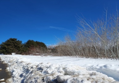 Lot 3 Will Thompson Rd, Fitchburg, Massachusetts 01420, ,Land,For Sale,Will Thompson Rd,73088970