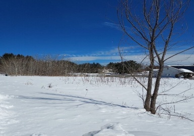 Lot 2 Will Thompson Way, Fitchburg, Massachusetts 01420, ,Land,For Sale,Will Thompson Way,73088969