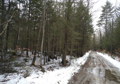 Lot 18 Shady Glen Ter, Winchendon, Massachusetts 01475, ,Land,For Sale,Shady Glen Ter,73093164