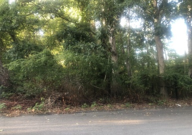 0 Hapwell & Summit St, New Bedford, Massachusetts 02740, ,Land,For Sale,Hapwell & Summit St,73029656