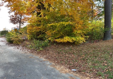 0 Hickory Road, Norton, Massachusetts 02766, ,Land,For Sale,Hickory Road,73053185