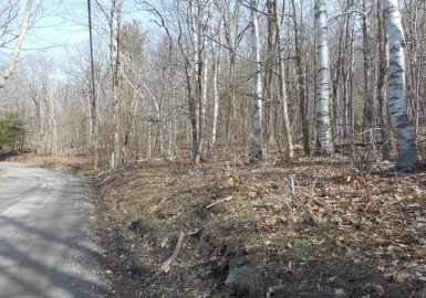 Lot 3-2 George Carter Road, Becket, Massachusetts 01223, ,Land,For Sale,George Carter Road,72875001