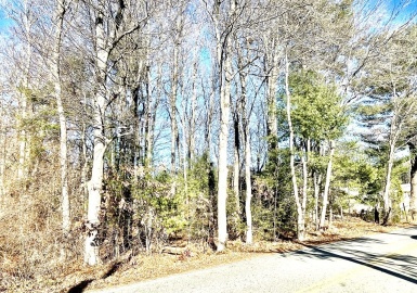 0 Bailey Rd, Holden, Massachusetts 01520, ,Land,For Sale,Bailey Rd,73062549