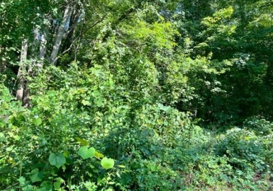 125 Chilson Rd, Wilbraham, Massachusetts 01095, ,Land,For Sale,Chilson Rd,73024709