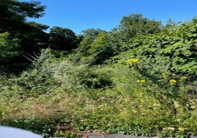 0 Mill St (Rear), Dracut, Massachusetts 01826, ,Land,For Sale,Mill St (Rear),73025095
