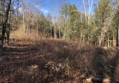0 Potato Hill Road, Westminster, Massachusetts 01473, ,Land,For Sale,Potato Hill Road,73060001