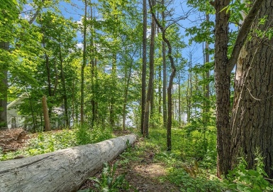 21 Harris Ave, Lunenburg, Massachusetts 01462, ,Land,For Sale,Harris Ave,73068054
