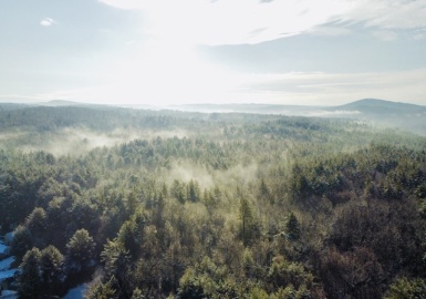 9V Red Bridge Road, Wilbraham, Massachusetts 01095, ,Land,For Sale,Red Bridge Road,73069717