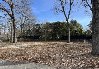 25 Oak St, Wellesley, Massachusetts 02482, ,Land,For Sale,Oak St,73076749