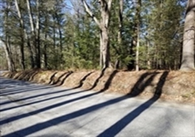 0 Town Farm Road, Monson, Massachusetts 01057, ,Land,For Sale,Town Farm Road,73082806