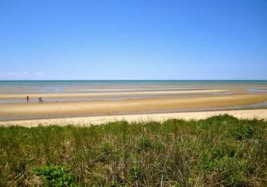 780 Old Orchard Road, Eastham, Massachusetts 02651, ,Land,For Sale,Old Orchard Road,73036561