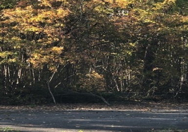 Lot 02 Leicester St, Oxford, Massachusetts 01537, ,Land,For Sale,Leicester St,73004443