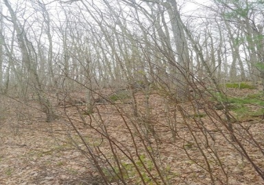 0 Old Warren Rd L:29, Palmer, Massachusetts 01069, ,Land,For Sale,Old Warren Rd L:29,72940673