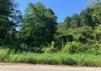 Lot 2A Ramshorn Rd, Dudley, Massachusetts 01571, ,Land,For Sale,Ramshorn Rd,73030227