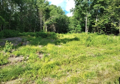 0 State Rd, Lot 19, Phillipston, Massachusetts 01331, ,Land,For Sale,State Rd, Lot 19,73004633