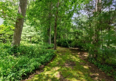 56 River Rd, Weston, Massachusetts 02493, ,Land,For Sale,River Rd,73125258