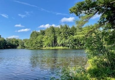 0 Lakeshore Dr Lot 15, Monson, Massachusetts 01057, ,Land,For Sale,Lakeshore Dr Lot 15,73061864