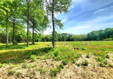 12 Cottage Road, Newbury, Massachusetts 01951, ,Land,For Sale,Cottage Road,73094033