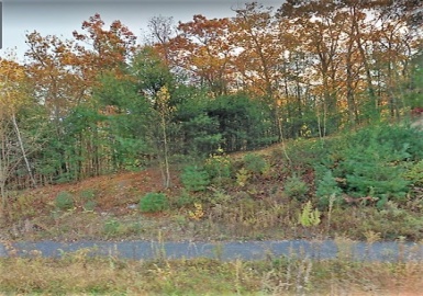 295 Crownshield Ave, Uxbridge, Massachusetts 01569, ,Land,For Sale,Crownshield Ave,73048979