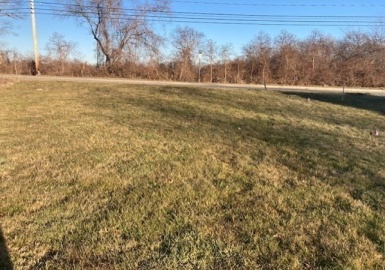 976 Bark, Swansea, Massachusetts 02777, ,Land,For Sale,Bark,73053310
