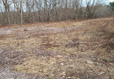 42 Bacon Rd, Ware, Massachusetts 01082, ,Land,For Sale,Bacon Rd,73077735
