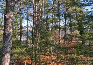 150 Merchant Ave, Yarmouth, Massachusetts 02675, ,Land,For Sale,Merchant Ave,73079714