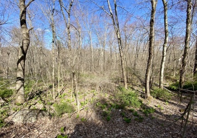 Lot 89 South St, Warren, Massachusetts 01092, ,Land,For Sale,South St,73084548