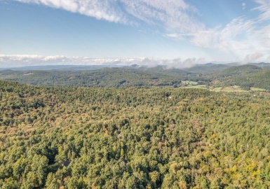 0 Old Reed Rd L:27, Monson, Massachusetts 01057, ,Land,For Sale,Old Reed Rd L:27,73063102
