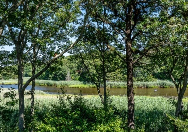 108 Waterside Drive, Barnstable, Massachusetts 02632, 3 Bedrooms Bedrooms, 7 Rooms Rooms,2.5 BathroomsBathrooms,Residential,For Sale,Waterside Drive,73025433