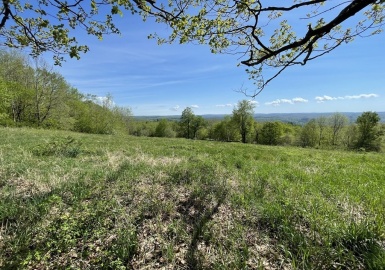 0 Luther Cross Rd, Cummington, Massachusetts 01026, ,Land,For Sale,Luther Cross Rd,72992172