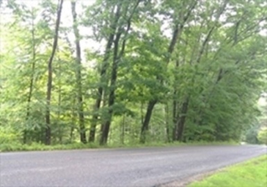 1172 Stafford Street, Oxford, Massachusetts 01542, ,Land,For Sale,Stafford Street,73077295