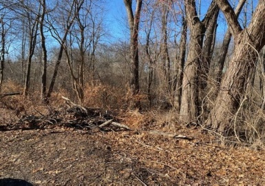 0 Leonard St, Agawam, Massachusetts 01001, ,Land,For Sale,Leonard St,73087206