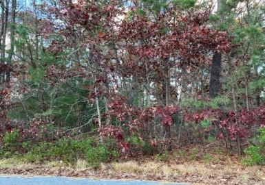 28 Yardarm Dr, Mashpee, Massachusetts 02649, ,Land,For Sale,Yardarm Dr,73059436