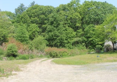 Lot 9 Wilson Street, Hopkinton, Massachusetts 01748, ,Land,For Sale,Wilson Street,72931006