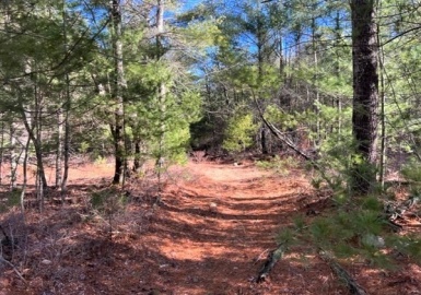Lot 2 Precinct Street, Middleboro, Massachusetts 02346, ,Land,For Sale,Precinct Street,73084026