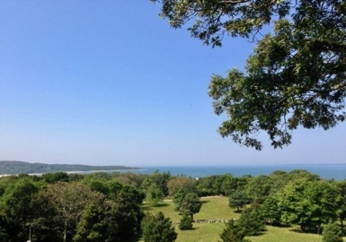 71 Bartmus Luce Road Wt154, West Tisbury, Massachusetts 02575, 3 Bedrooms Bedrooms, 7 Rooms Rooms,2.5 BathroomsBathrooms,Residential Lease,For Rent,Bartmus Luce Road Wt154,72845474