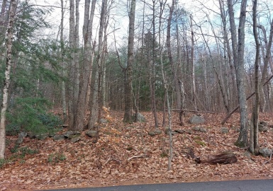 24 Old County Rd, Winchendon, Massachusetts 01475, ,Land,For Sale,Old County Rd,73062500