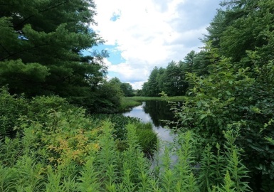 67, 70-72 Mill St, Templeton, Massachusetts 01468, ,Land,For Sale,Mill St,72881927