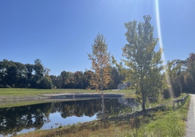 Lot 16 Starr Lane, Rehoboth, Massachusetts 02769, ,Land,For Sale,Starr Lane,73058710