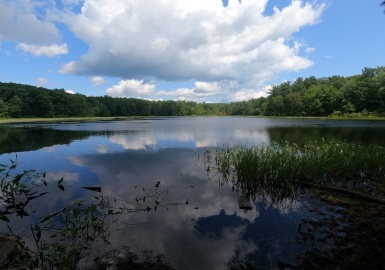 Lot 21 Exchange St, Templeton, Massachusetts 01468, ,Land,For Sale,Exchange St,72875799