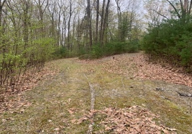 Lot 1 Southeast Main, Douglas, Massachusetts 01516, ,Land,For Sale,Southeast Main,73107301