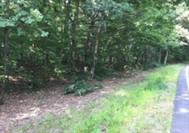 0 R E Foxboro St, Sharon, Massachusetts 02068, ,Land,For Sale,E Foxboro St,73064567